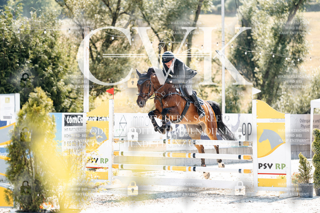 CK908318 | Turnierfotografie Pferdefotografie Trier Rheinland-Pfalz Pferdesport Reitsport Tierfotografie Sportfotografie Pferdevideo Pferdevideografie Equestrianvideography equestrianphotography  - Realisiert mit Pictrs.com
