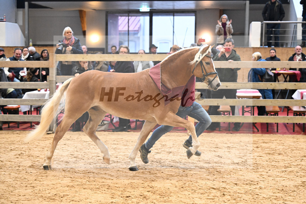 Kat-Nr. 34 nn v. Starino I_Grimminger_48251830 | hf-fotografie - Realisiert mit Pictrs.com