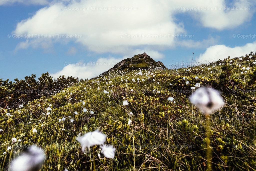 Fotos_Copyright_Chri_Fischbacher_Druck-452 | Bildershop Chri Fischbacher - Realisiert mit Pictrs.com