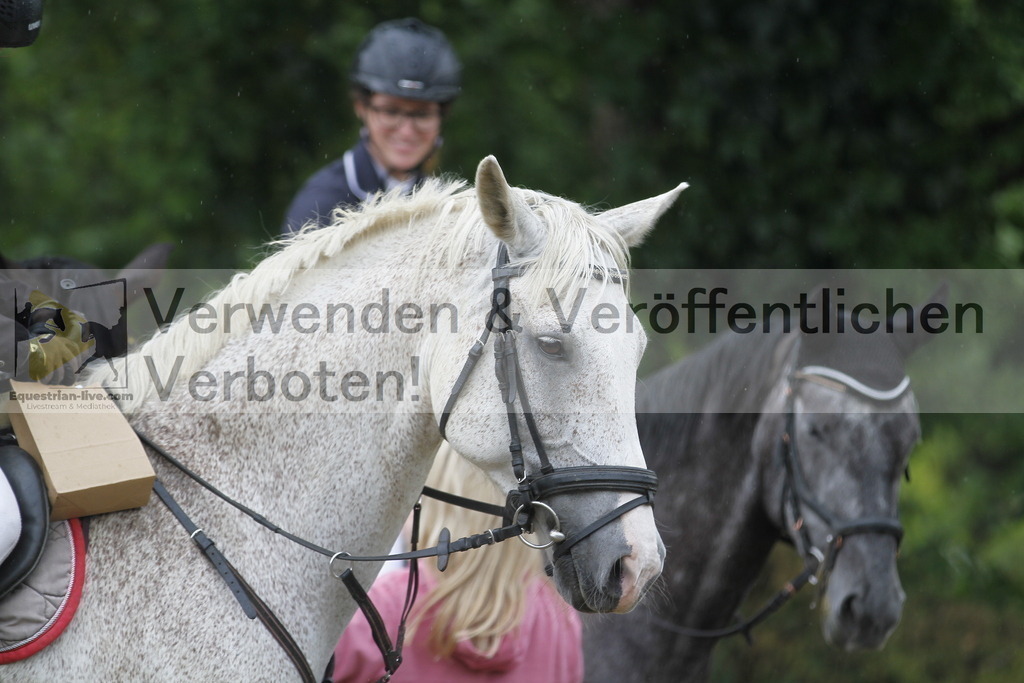 _MG_9436 | equestrian-live-com