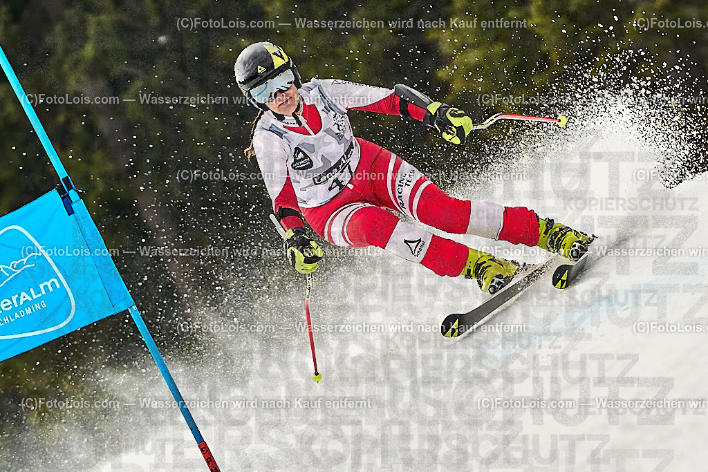 _WWO3860_MASTERS-WM_Reiteralm_CD-SG_DÜRSCHMID Gundi | FISWORLD CHAMPIONSHIPSMASTERS ALPINE SKIING, 23. – 28. MÄRZ 2026 - REITERALM | STMK | AUT.   Veranstaltet vom Masters-Referat des Deutschen Skiverbandes (DSV). Durchführende Organisation: WSV Pichl-Reiteralm, unterstütutzt von den Bergbahnen REITERALM bei Schladming und SKI AUSTRIA.                            Disziplinen:  Super-G, GiantSlalom, Slalom.                                                 Kategorien:  A (Herrn 30-59 Jahre), B (Herrn ab 60 Jahre), C (Damen 30-59 Jahre), D (Damen ab 60 Jahre).                Rennstrecken:   Gasselhöhe und Muldenliftpiste auf der Reiteralm.