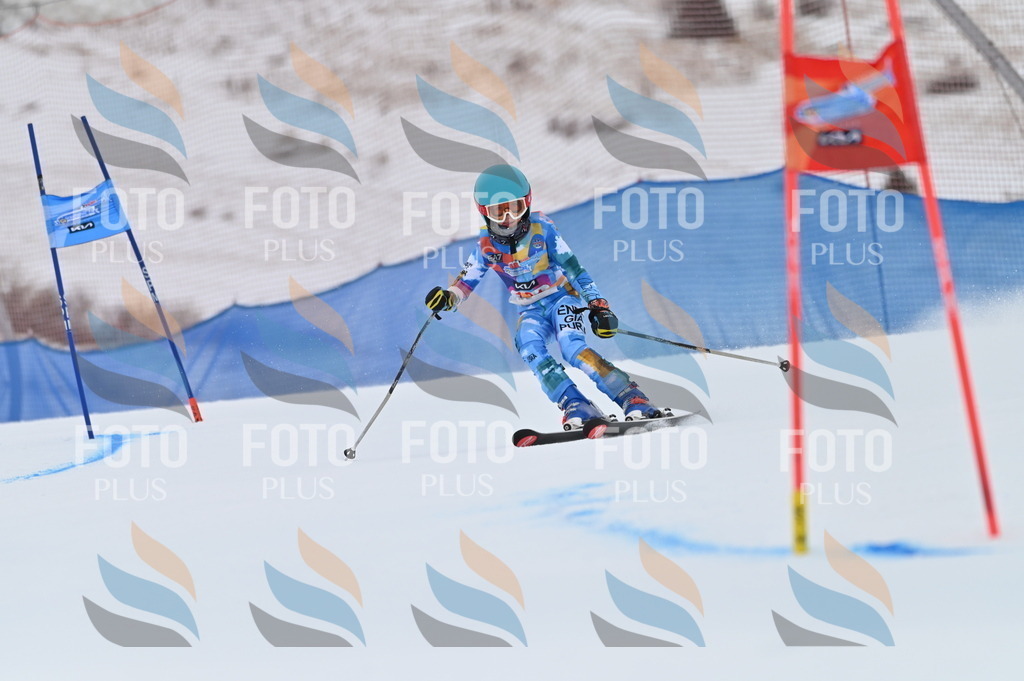 BGV_1037 | holidayphoto