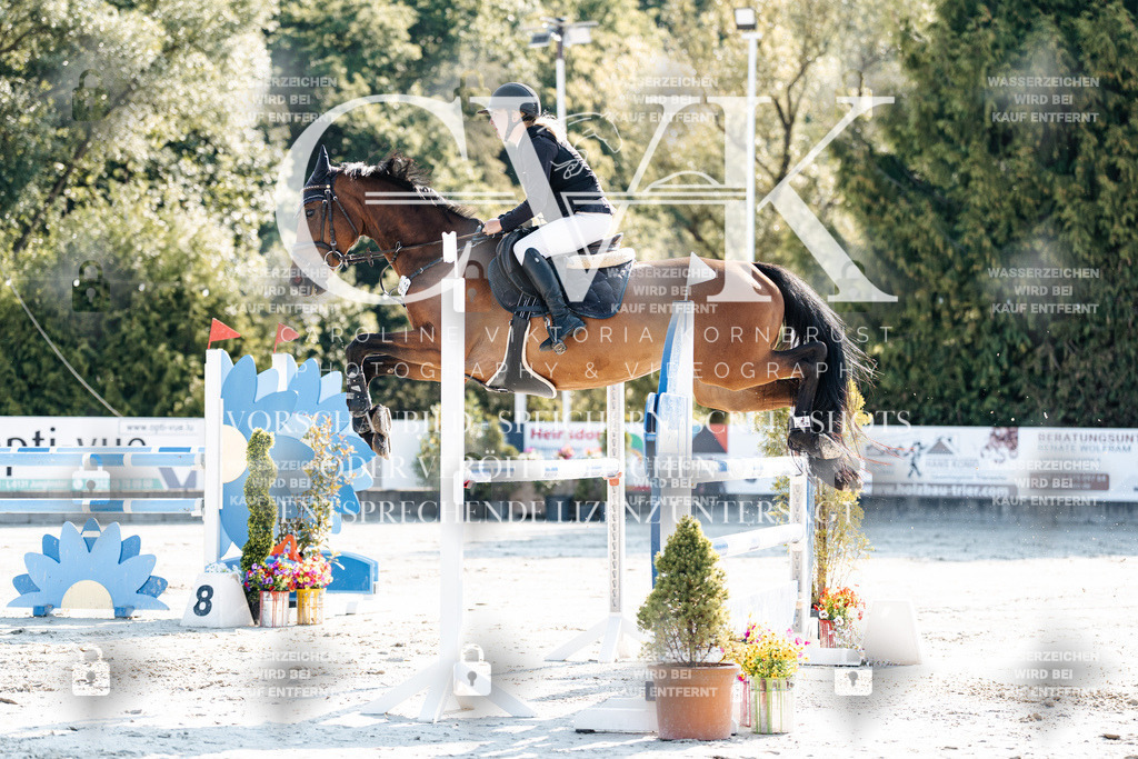 CK901756 | Turnierfotografie Pferdefotografie Trier Rheinland-Pfalz Pferdesport Reitsport Tierfotografie Sportfotografie Pferdevideo Pferdevideografie Equestrianvideography equestrianphotography  - Realisiert mit Pictrs.com