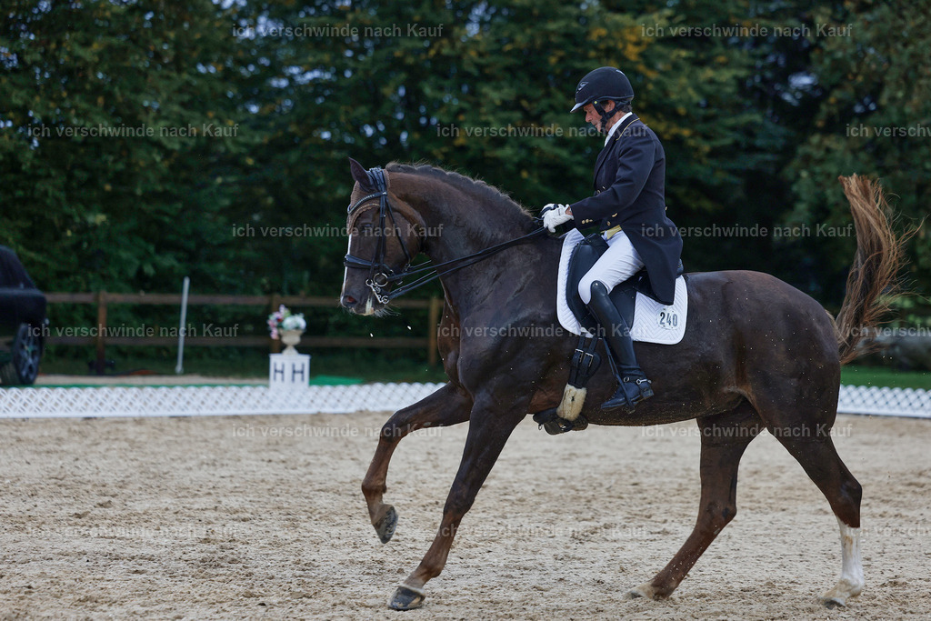8_2-240-DRESSUR S_  -StoibPH-4464 | working equitationturnier fotograf videograf stoibphotography marixx film working equitation deutschland reitsport turnierfotografie eventfotografie equestrian events