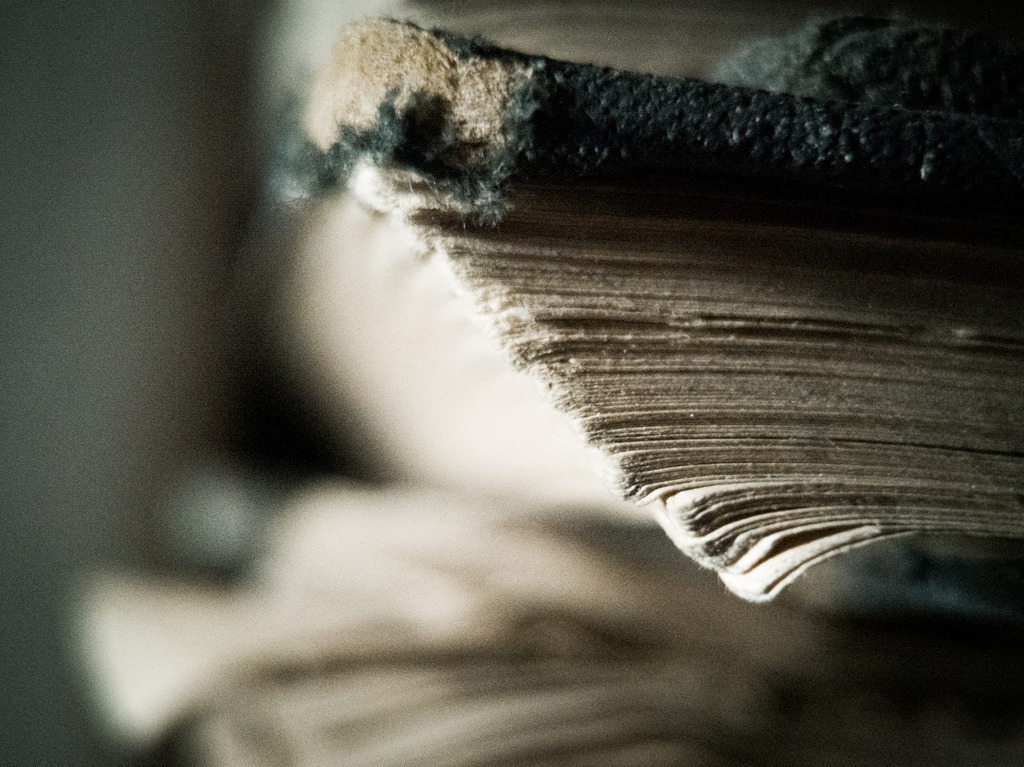 IMG_20201120_124723 | kaefersammler_roy - Realisiert mit Pictrs.com