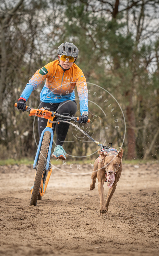Pfotenfotografie_DV3A9401 | Hundefotografie, Tierfotograf, Pfotenfotografie, Fotoshooting Hund, Hunde Portrait, Hundesport, Hundeportraits, Heideshooting, Hunde, Sportfotograf, Hundefotograf, Turnierhundsport, THS,  - Realisiert mit Pictrs.com