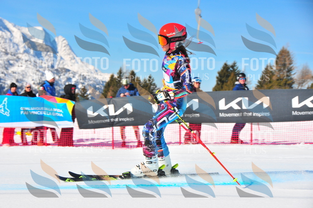 DSC_3686 | holidayphoto