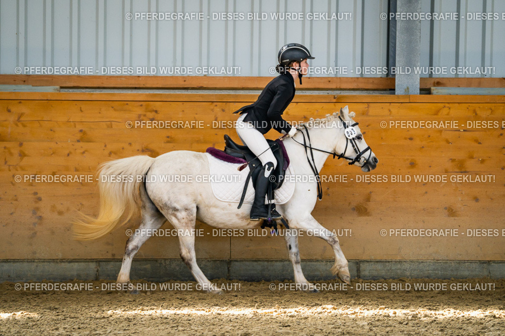 DSC02259 | Pferdegrafie