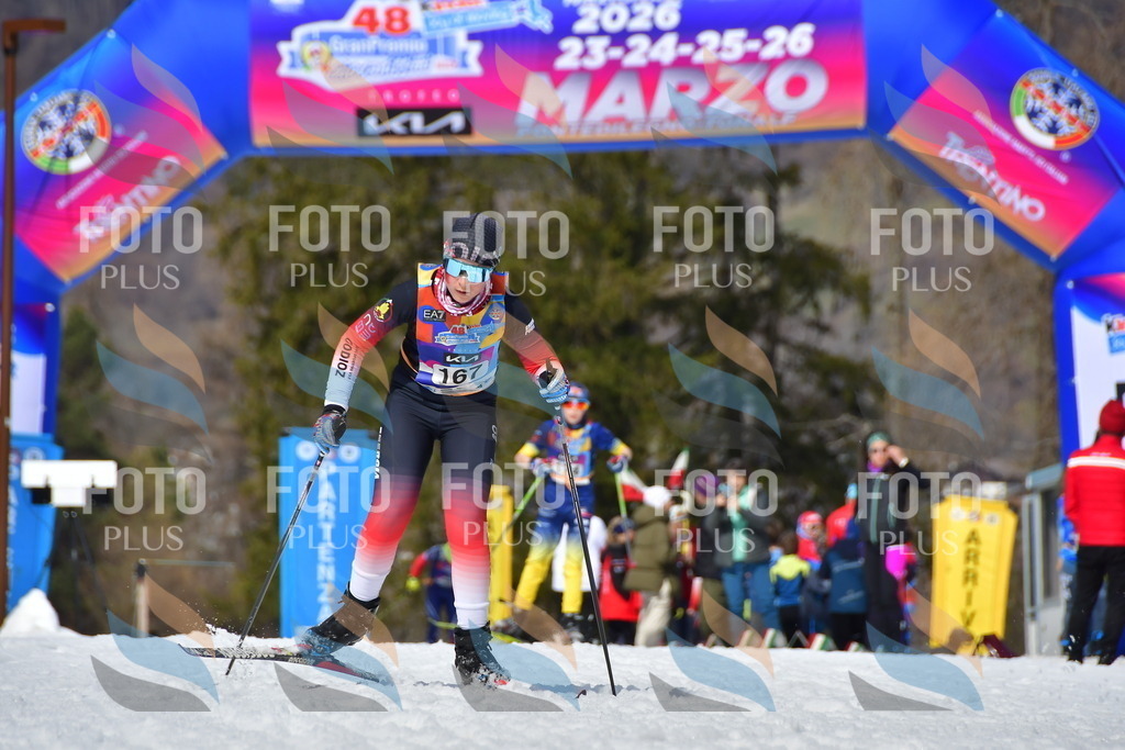 _DSC0937 | holidayphoto