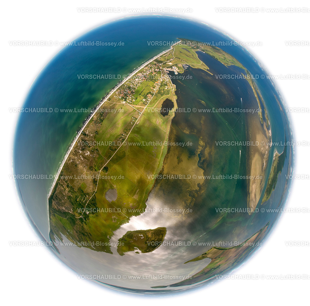 Hiddensee12081896B | Vitte, Naturschutzgebiet Dünenheide, Heidelandschaft,  Insel Hiddensee, Ostseeinsel, Mecklenburg-Vorpommern, Deutschland, Europa