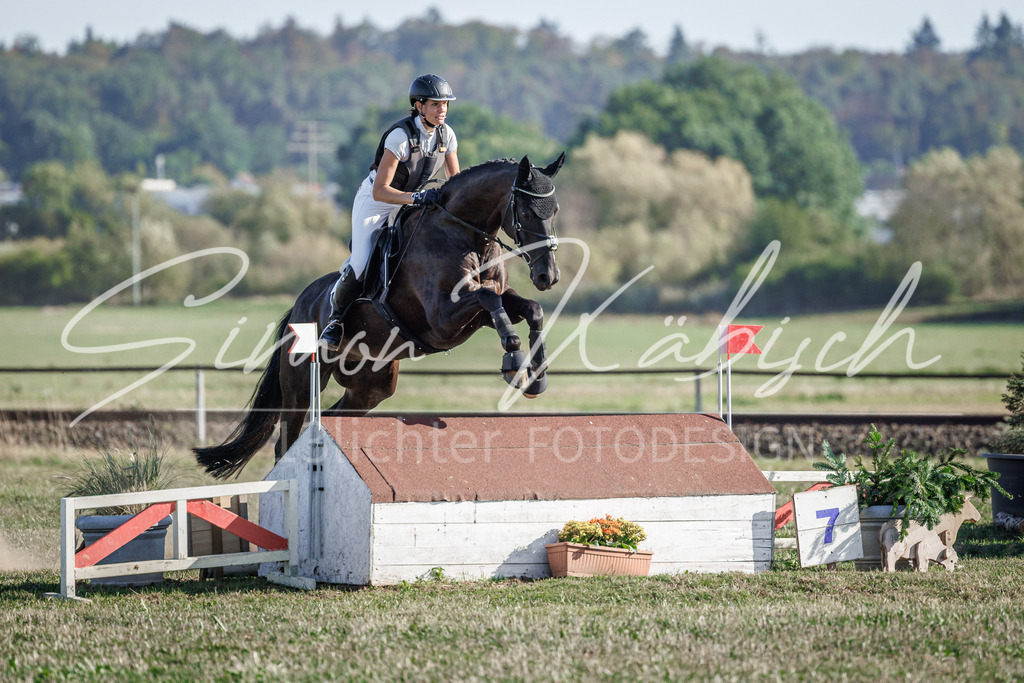 20260905-_3LI0563 | Tierfotografie Pferde, Hunde, Katzen, Haustiere.
Turnierfotografie Reitturniere, Reiten, Springreiten, Dressur in Hanau, dem Main-Kinzig-Kreis und dem Rhein-Main- Gebiet um Frankfurt