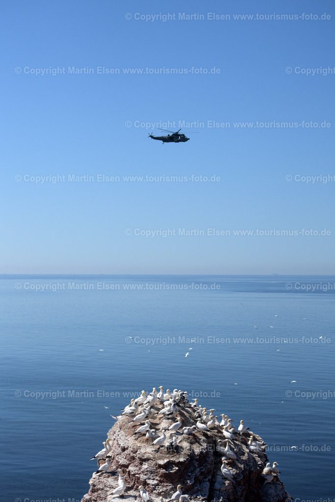 Helgoland Bastölpel_ Helikopter_ELS_8068030818 | Helgoland - Aufnahmedatum: 03.08.2018, Aufnahmehöhe:  m, Koordinaten:  - , Bildgröße: 4881 x  7321 Pixel - Copyright 2018 by Martin Elsen, Kontakt: Tel.: +49 157 74581206, E-Mail: info@schoenes-foto.deSchlagwörter:Schleswig-Holstein,Landkreis Pinneberg,Düne,Hochseeinsel,Börteboote,Meer,Küste,Halunder,Oberland,Unterland,Strand,Seehunde,Robben,Lange Anna,Felsen,Roter Felsen,Luftbild,Luftbilder,Bastölpel - Realisiert mit Pictrs.com