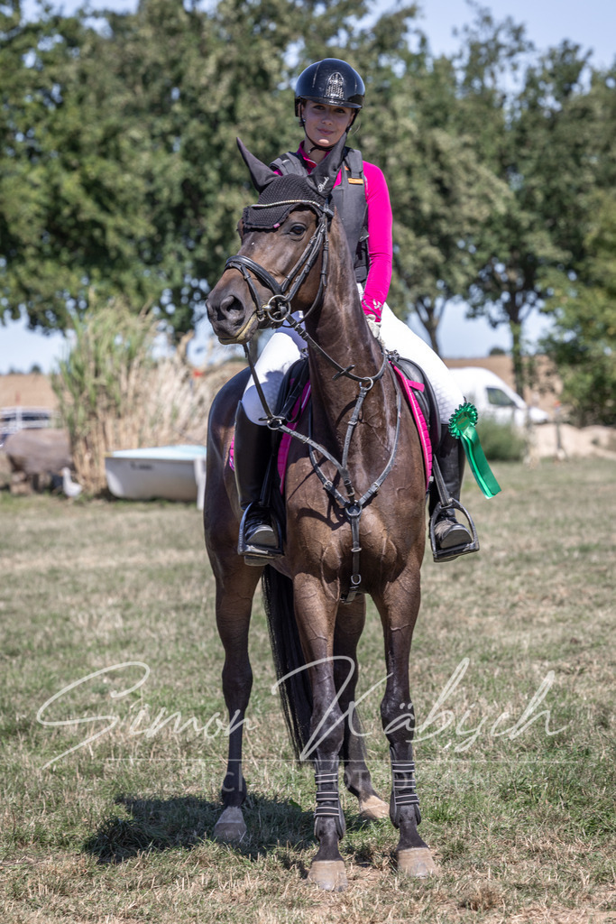 20260906-_3LI4572 | Tierfotografie Pferde, Hunde, Katzen, Haustiere.
Turnierfotografie Reitturniere, Reiten, Springreiten, Dressur in Hanau, dem Main-Kinzig-Kreis und dem Rhein-Main- Gebiet um Frankfurt