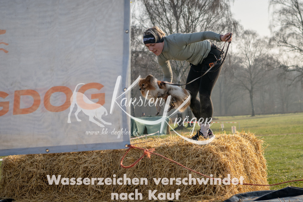 _ZZ90269 | kk-dogfotos