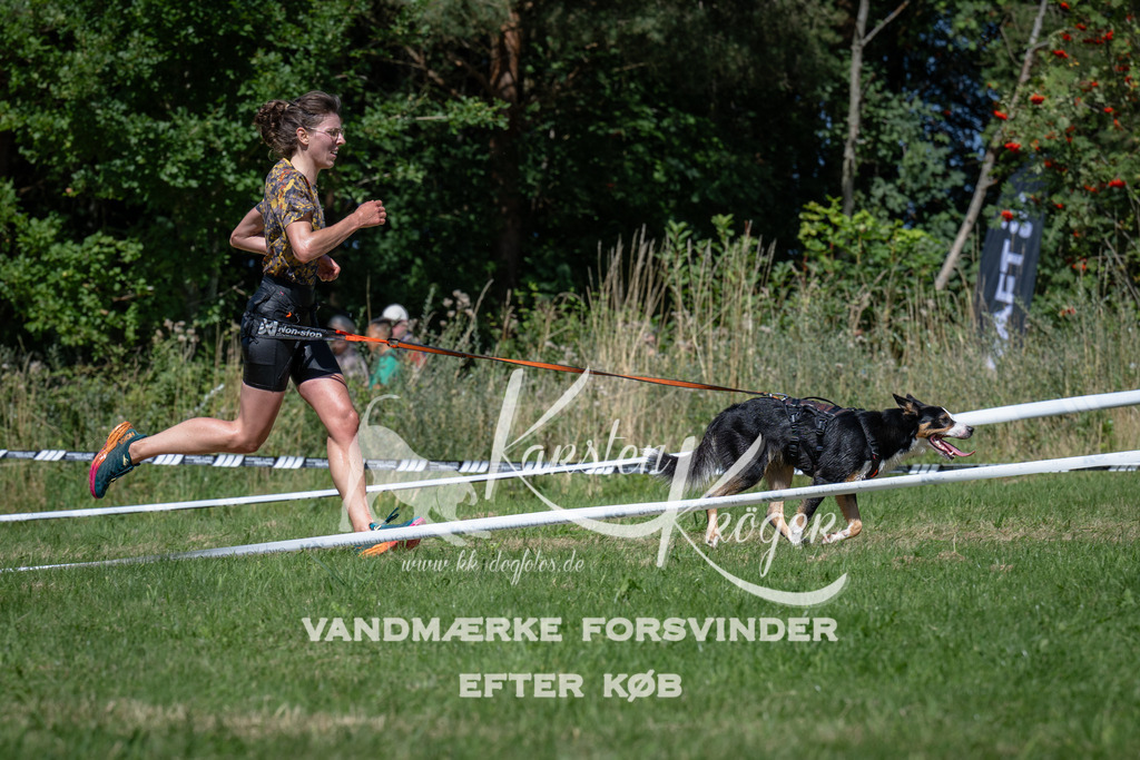 1254_ZZ97351 | kk-dogfotos