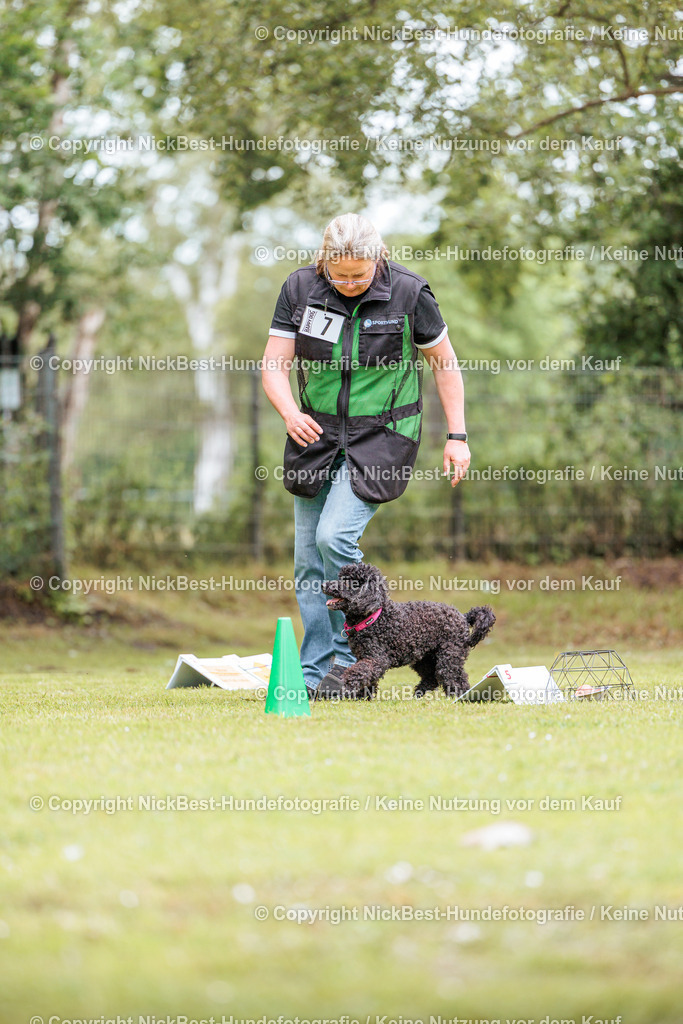 RO-Blumenthal-2026-Nickbest-Hundefotografie-1954 | Dein Hund! Dein Moment! Deine Erinnerungen! Hundefotografie in Bremen Blumenthal. Ich fange die besonderen Momente deines Vierbeiners ein – ob Indoor mit Blitzanlage oder in der freien Natur. Sicher dir dein Moment und dein Termin für eure Erinnerungen.