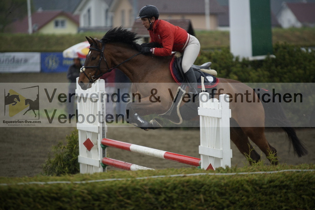_DSC3911 | equestrian-live-com