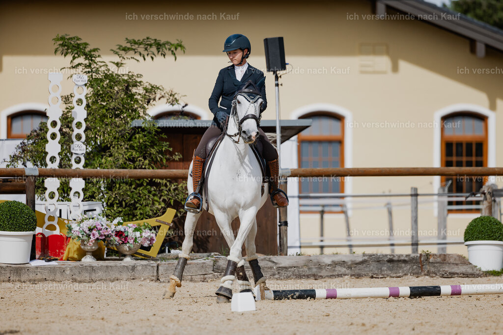 Steffi23_FHC2025-62 | working equitationturnier fotograf videograf stoibphotography marixx film working equitation deutschland reitsport turnierfotografie eventfotografie equestrian events