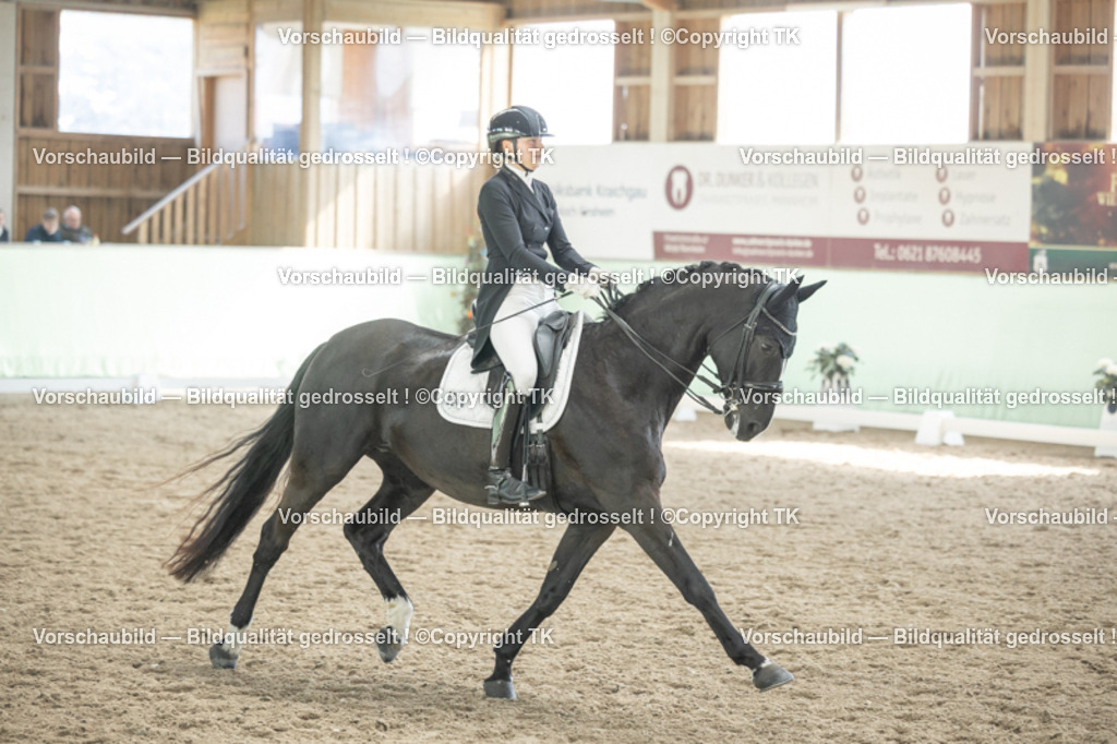 _D5A2077 | Emotionale Pferde- & People-Fotografie rund um Heidelberg, Leimen & Umgebung. Natürliche Fotos von Pferd, Mensch & Familie. Jetzt Termin sichern!