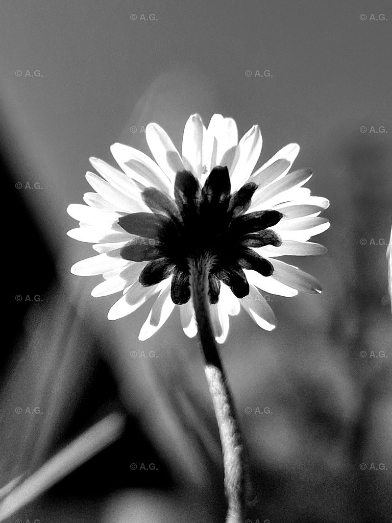 20220425_155224 | aileen-glaeser - Realisiert mit Pictrs.com