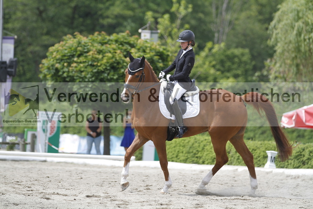 _MG_9182 | equestrian-live-com