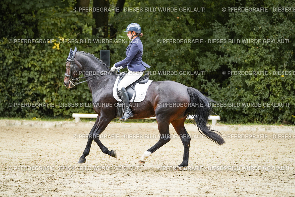 DSC06293 | Pferdegrafie