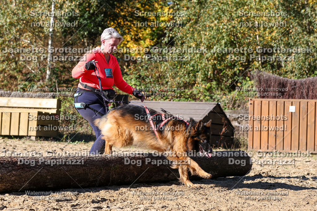 Dog Paparazzi - Strongdog 10-25-2637 | Dog Paparazzi Jeanette Grottendiek Fotografie & Videografie - Realisiert mit Pictrs.com
