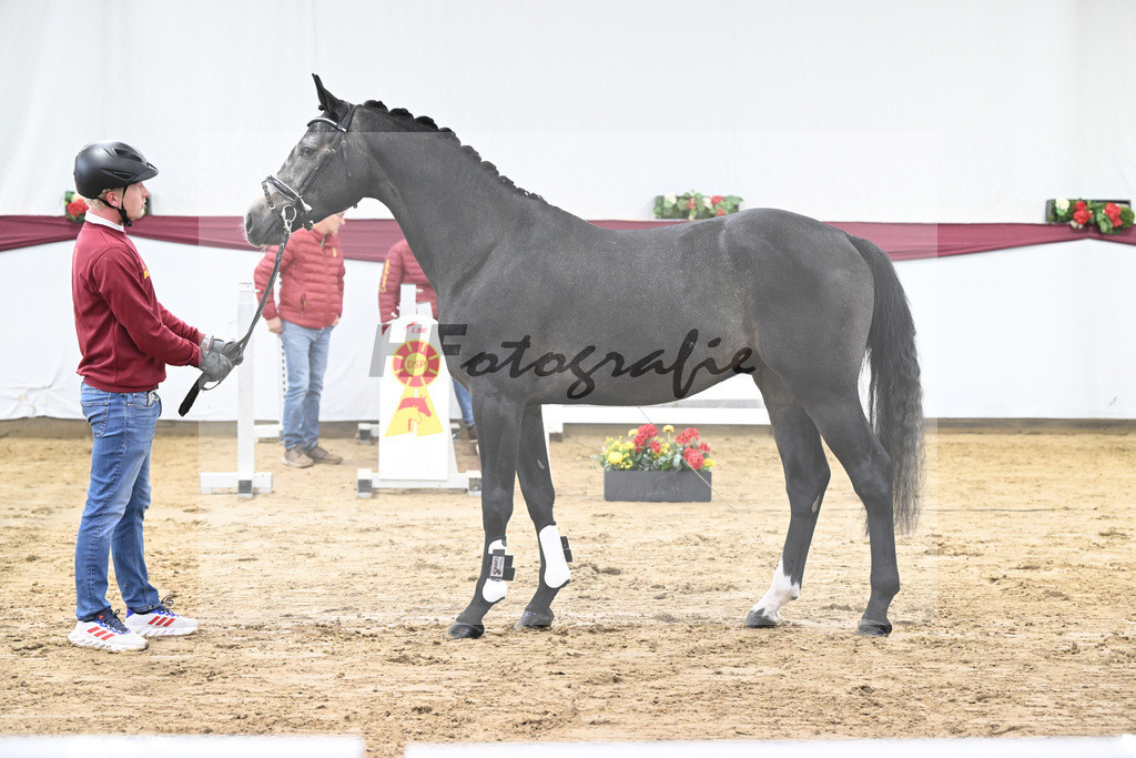 Kat-Nr. 92 Vingino x Stolzenberg_Markus u Leonhard Diez_47252648 | hf-fotografie - Realisiert mit Pictrs.com