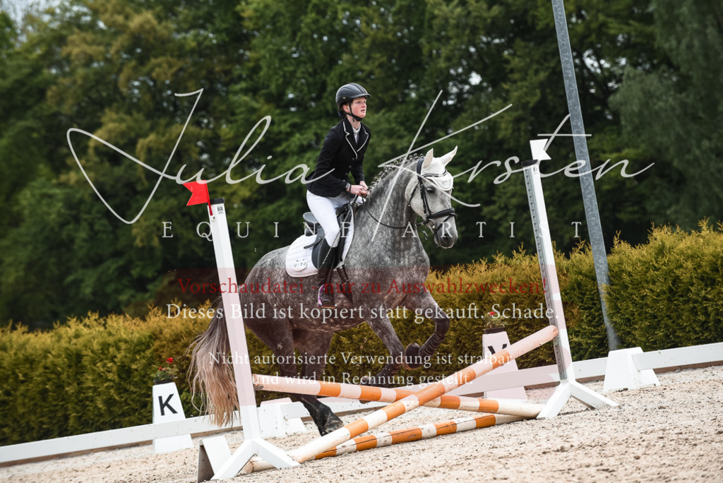 20230518_JK-Röhrsdorf-10-419 | Pferde- und Turnierfotografie in Westsachsen. Pferdeportraits, Auftragszeichnungen und intuitive Kunst.