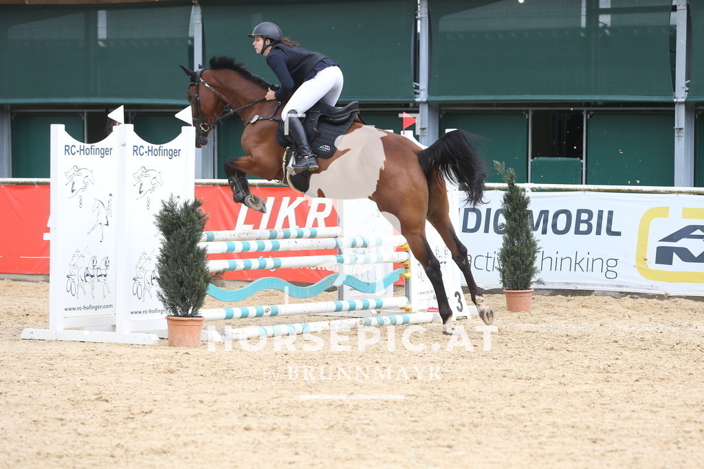 DL2Q1360 | Willkommen bei Brunnmayr - Design & Fotografie – Ihrem Spezialisten für Reitturniere und Pferdeveranstaltungen in Oberösterreich, Salzburg und Bayern! Seit über 17 Jahren sind wir leidenschaftlich dabei.