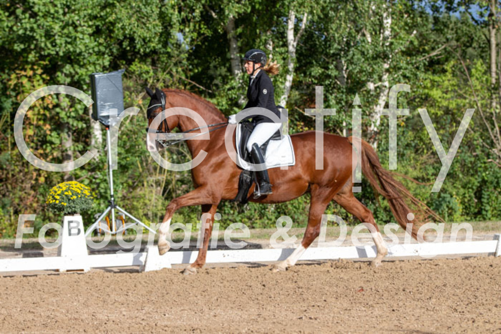 IMG_6163 | Creatify Fotografie