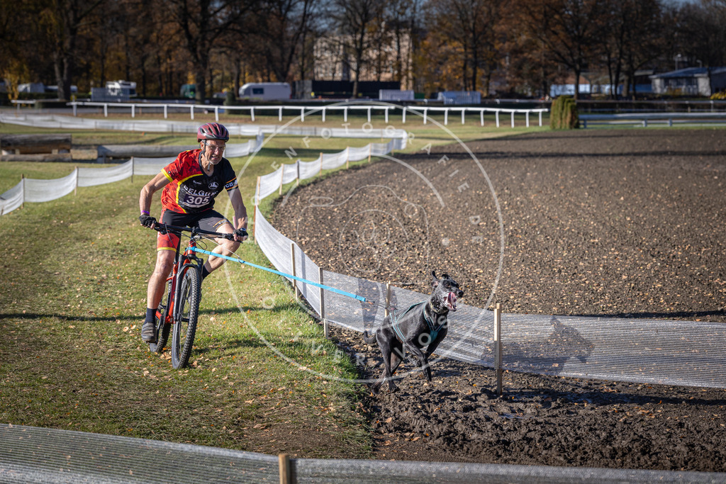 CaniXpix_DV3A6182 | Hundefotografie, Tierfotograf, Pfotenfotografie, Fotoshooting Hund, Hunde Portrait, Hundesport, Hundeportraits, Heideshooting, Hunde, Sportfotograf, Hundefotograf, Turnierhundsport, THS,  - Realisiert mit Pictrs.com