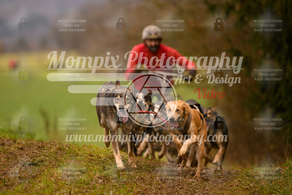 MompixPhotography_2SSTSSBW_2025_SO_Kart-54 | PayLife