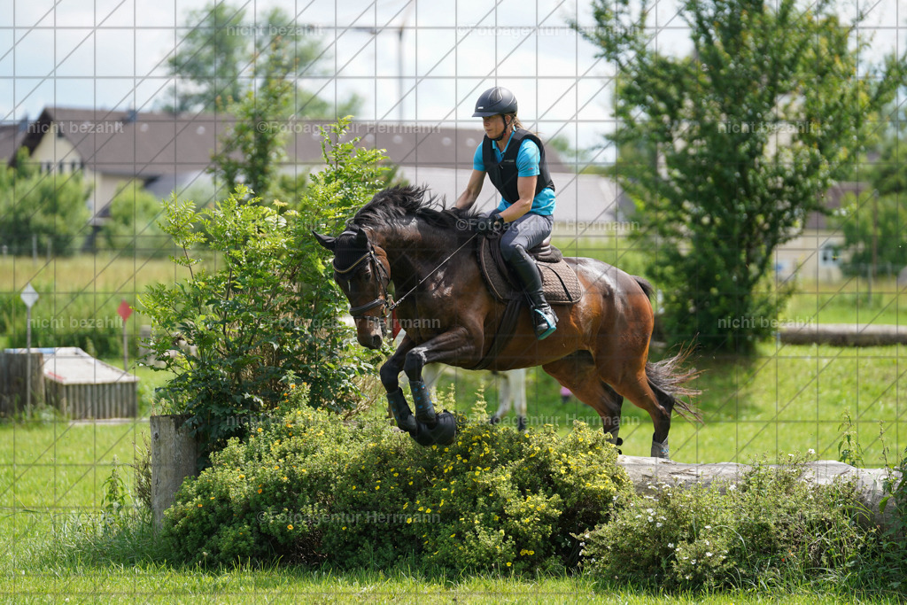 20240622-FAH07595 | Turnierfotografen Bayern, Reitsportbilder aus dem Geländekurs mit Felix Etzel auf dem Gut Waitzacker 2024