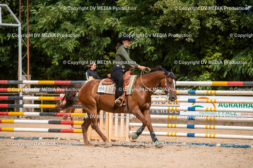 EWP_6006 | dv-media-shop - Realisiert mit Pictrs.com