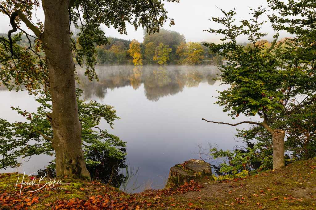 Hennesee Vorstaubecken | Hennesee Vorstaubecken in Mielinghausen - Realisiert mit Pictrs.com