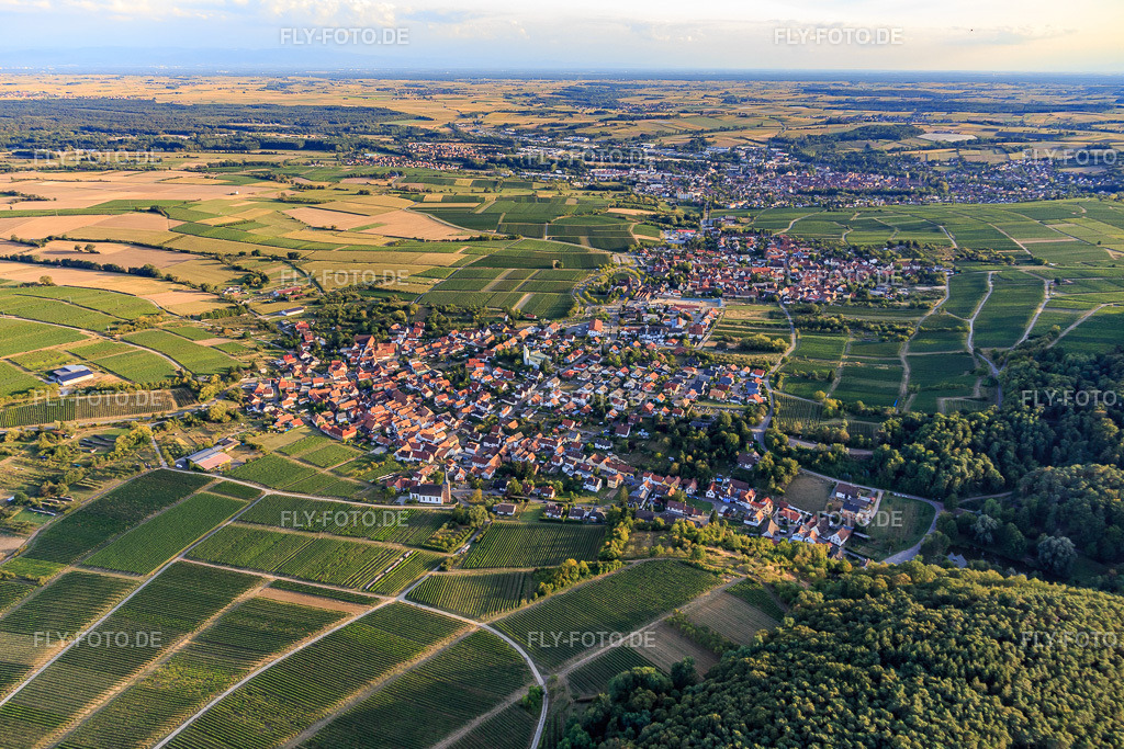 Winzerdorf am Haardtrand aus Norden | Luftbild: Winzerdorf am Haardtrand aus Norden im Ortsteil Rechtenbach in Schweigen-Rechtenbach im Bundesland Rheinland-Pfalz in Deutschland. Foto: IMG_117423.jpg vom 06.09.2019 durch Werner Riehm/FLY-FOTO.de - Realisiert mit Pictrs.com