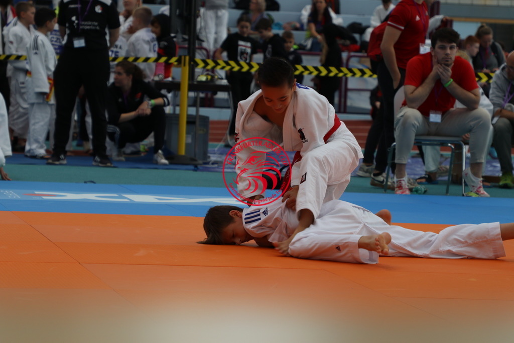 IMG_7984 | Fotos vom Adler Cup - Pictures from Adler Cup

Hier findet Ihr alle Eindrücke und großen Momente der Adler Cup Wochenenden. Here you will find all impressions and great moments of the Adler Cup weekends. - Realisiert mit Pictrs.com