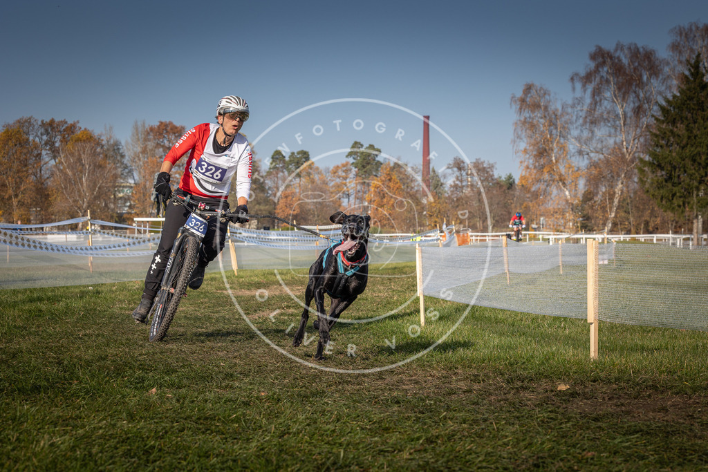 CaniXpix_0L8A7266 | Hundefotografie, Tierfotograf, Pfotenfotografie, Fotoshooting Hund, Hunde Portrait, Hundesport, Hundeportraits, Heideshooting, Hunde, Sportfotograf, Hundefotograf, Turnierhundsport, THS,  - Realisiert mit Pictrs.com