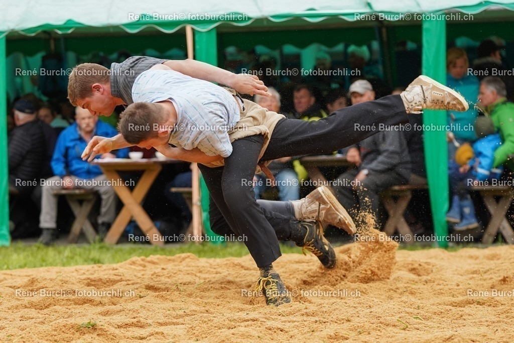 20220424-DSC00328 | René Burch leidenschaftlicher Fotograf aus Kerns in Obwalden.  Hier finden sie Sport, Landschaft und Natur Fotografie.
 - Realisiert mit Pictrs.com