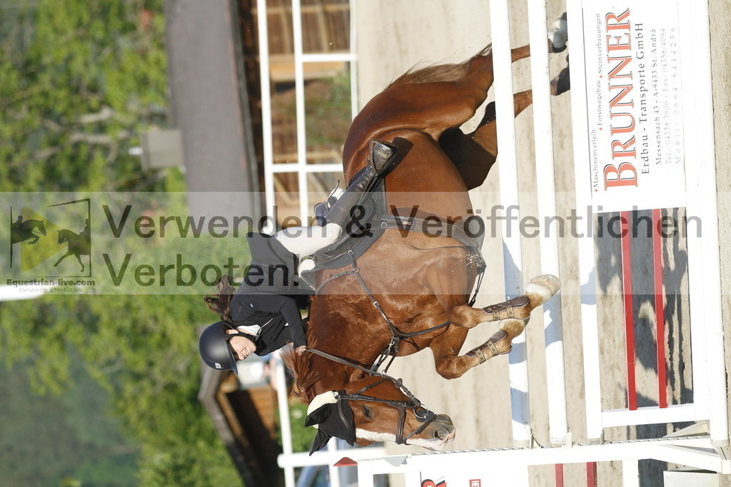 _MG_2262 | equestrian-live-com