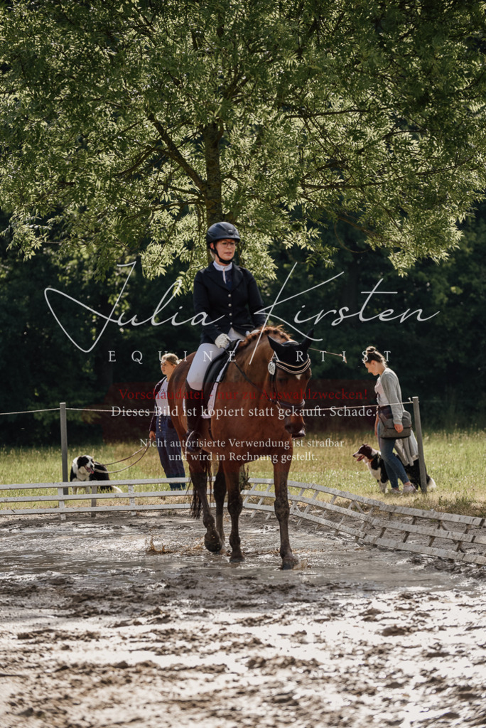 DSC_8859 | Pferde- und Turnierfotografie in Westsachsen. Pferdeportraits, Auftragszeichnungen und intuitive Kunst.