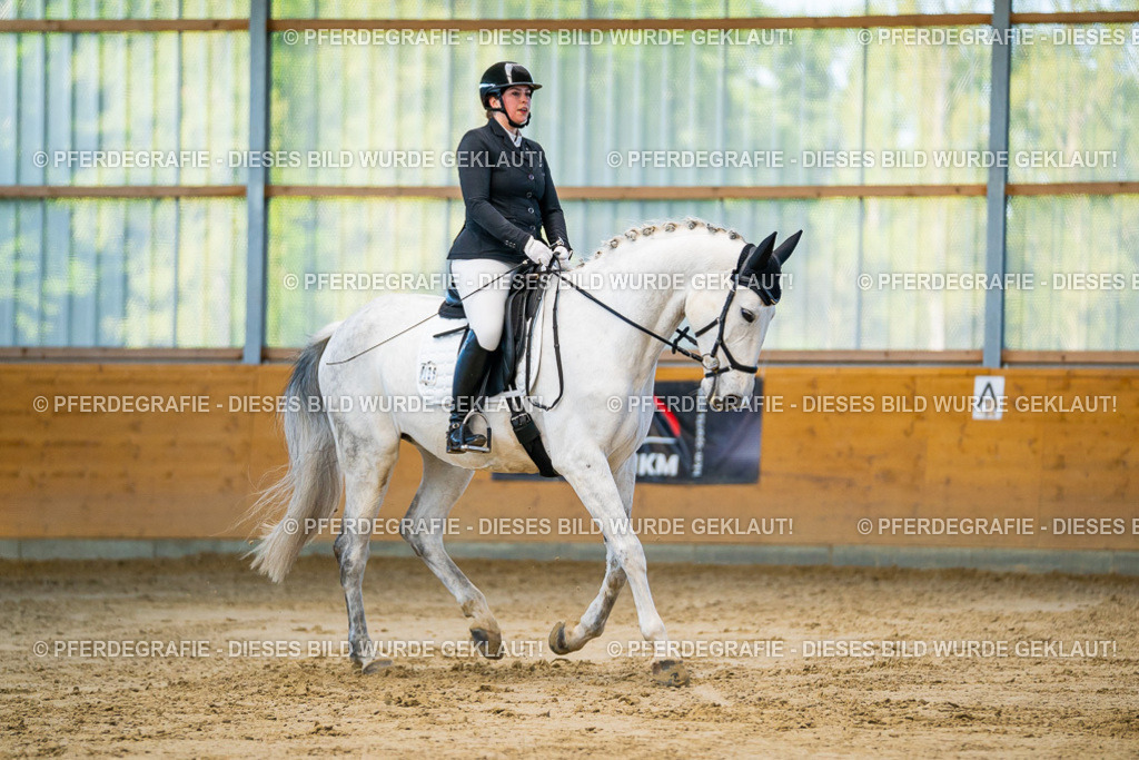 DSC06250 | Pferdegrafie