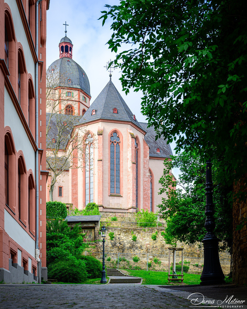 DSC_8757 | Fotografien, Fotos und Bilder aus Mainz, Frankfurt, Wiesbaden und anderen Orten auf der Welt - Fotografiert von Darius Metzner