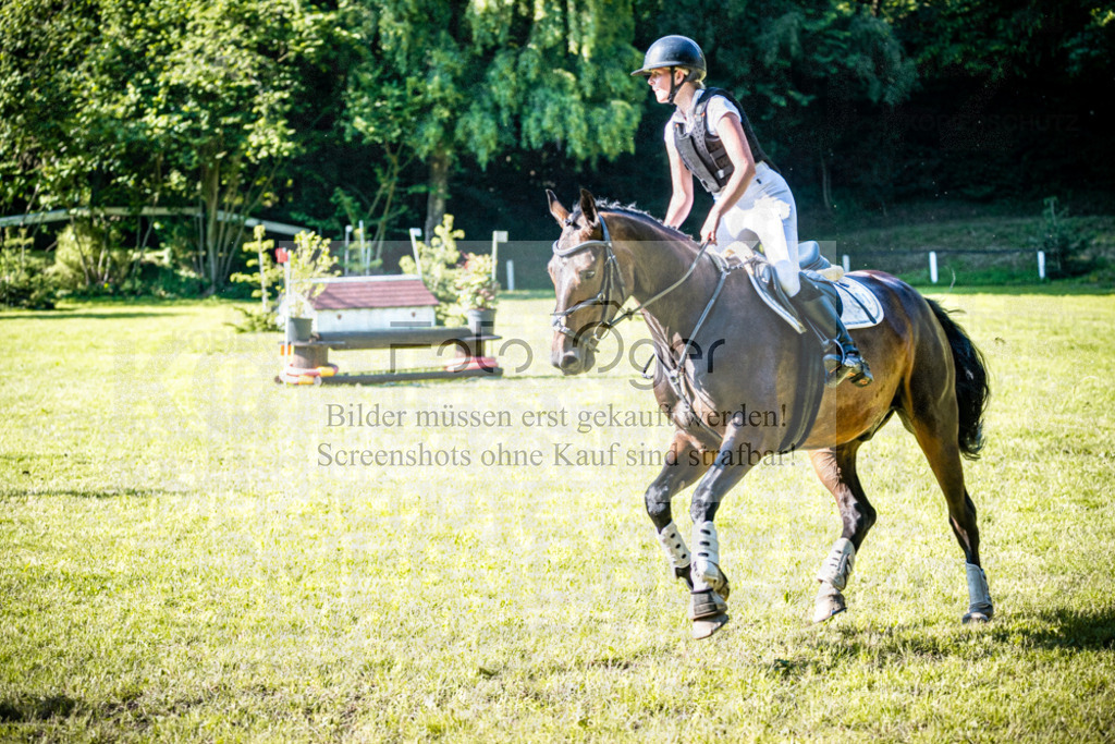2026-05 - Melle Oldendorf-3-0116 | Entdecke hochwertige Reitturnierfotos von Foto Oger. Professionell, emotional und authentisch – jetzt Lieblingsmomente im Shop bestellen.Deutschlandweite Turnierfotografie. - Realisiert mit Pictrs.com