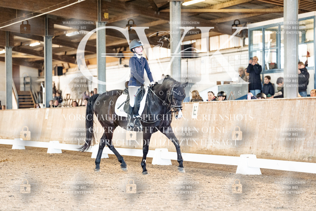 CK908196 | Turnierfotografie Pferdefotografie Trier Rheinland-Pfalz Pferdesport Reitsport Tierfotografie Sportfotografie Pferdevideo Pferdevideografie Equestrianvideography equestrianphotography  - Realized with Pictrs.com