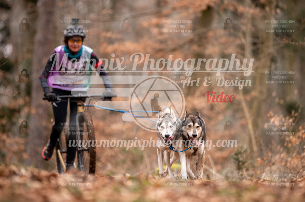 AKM_ST_2023_SAM_DS2-49 | PayLife