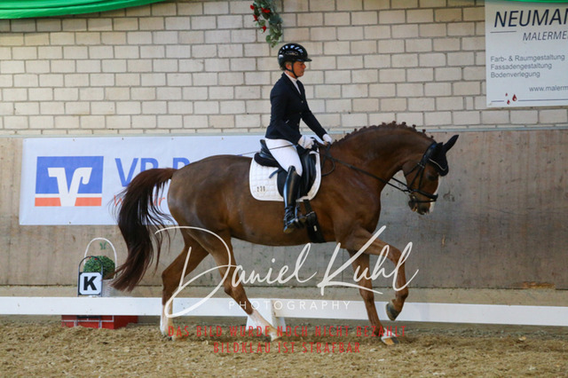 IMG_3010 | Turnierfotos kaufen im Webshop von Daniel Kuhl Photography – entdecke professionelle Reitsportfotos aus Turnieren & Events. Hochwertige Turnierbilder online bestellen & sichern. Jetzt Fotos von Reitsportturnieren kaufen!