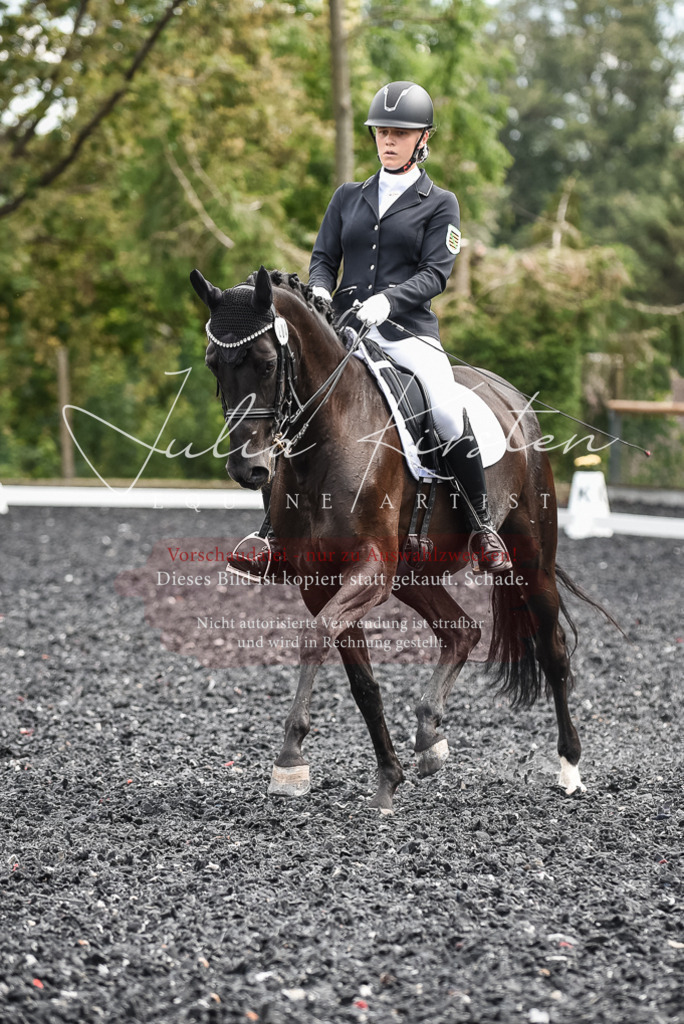 DSC_5060 | Pferde- und Turnierfotografie in Westsachsen. Pferdeportraits, Auftragszeichnungen und intuitive Kunst.
