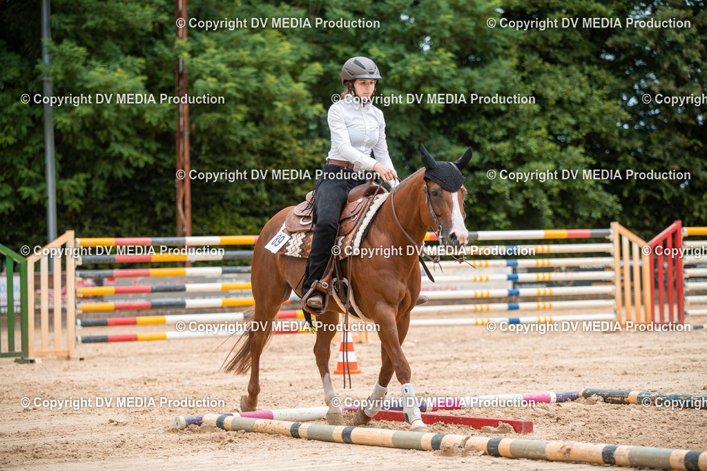 ZS2_8621 | dv-media-shop - Realisiert mit Pictrs.com